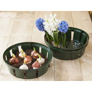 Vir&aacute;ghagyma kos&aacute;r 22cm &aacute;tm.3 db-os /5010300