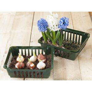 Vir&aacute;ghagyma kos&aacute;r 25x21cm  3 db-os/ 5010303