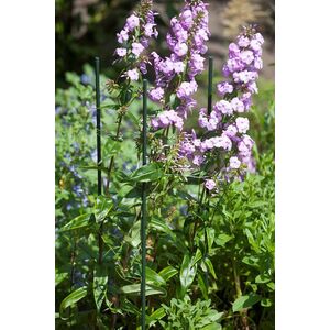 Vir&aacute;gt&aacute;masz műanyag   90cm/8mm 211774