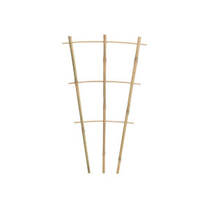 Bambusz vir&aacute;gl&eacute;tra  46cm legyező alak&uacute; CH