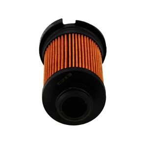 Motorolajszűrő Briggs 49E877